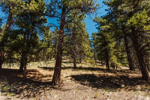 lot23 Dearborn River Rd, Cascade, MT 59421 photo 43