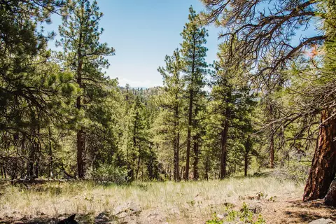 lot23 Dearborn River Rd, Cascade, MT 59421 photo 25