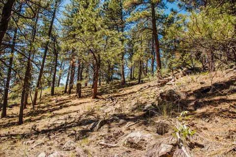 lot23 Dearborn River Rd, Cascade, MT 59421 photo 18
