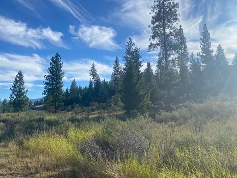 Lot 14 Bighorn, Plains, MT 59859