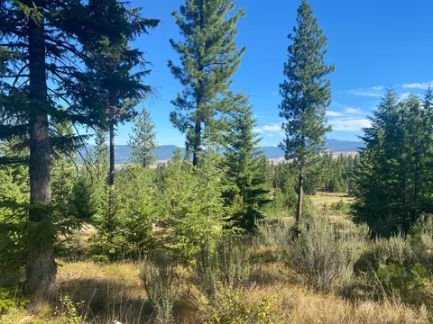 lot27 Bighorn Blf, Plains, MT 59859