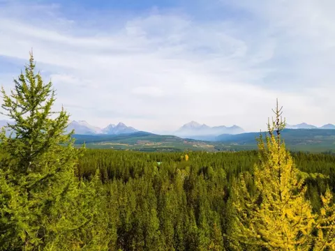 10605 N Fork Rd, Polebridge, MT 59928 photo 1