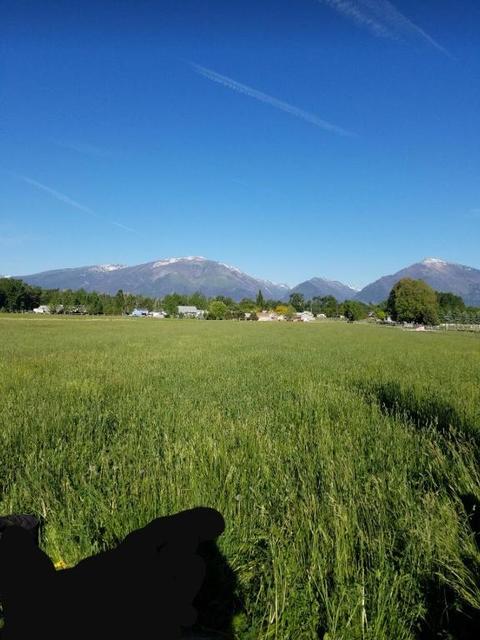 957 N Shoshone Loop, Hamilton, MT 59840 photo 1