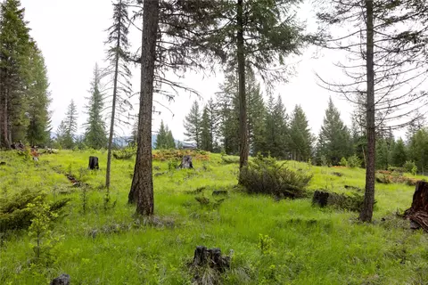 4736 Sinclair Creek Dr, Eureka, MT 59917 photo 14