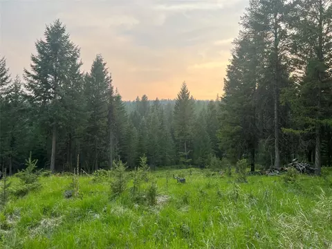 4736 Sinclair Creek Dr, Eureka, MT 59917 photo 2