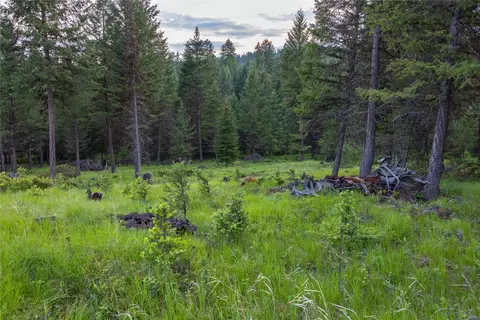 4736 Sinclair Creek Dr, Eureka, MT 59917 photo 8