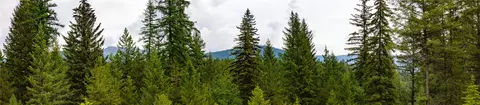 4736 Sinclair Creek Dr, Eureka, MT 59917 photo 29