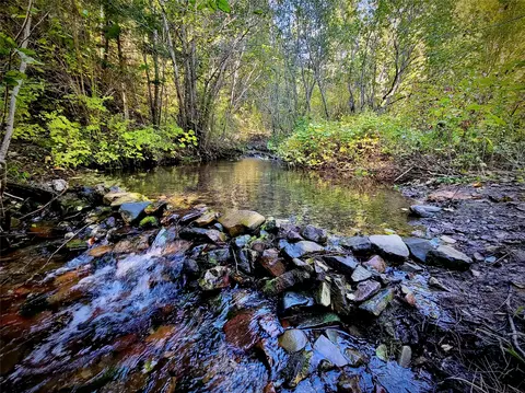Nhn W Mountain Creek Road, Alberton, MT 59820