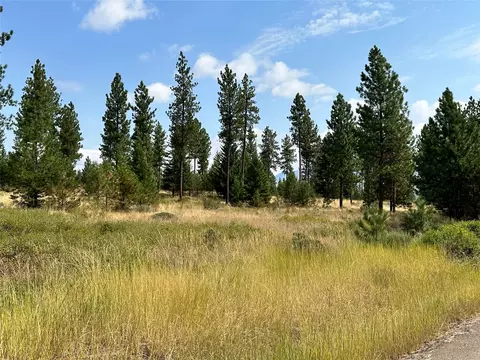 39 Bighorn Bluff Loop, Plains, MT 59859 photo 3