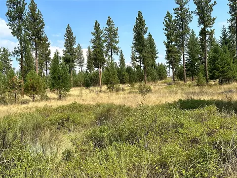 39 Bighorn Bluff Loop, Plains, MT 59859 photo 6