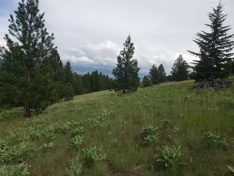 Nhn Oertli Lane, Hamilton, MT 59840