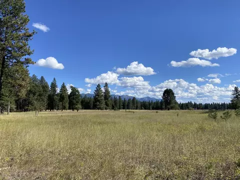 73 Belterra Ln, Bigfork, MT 59911 photo 1
