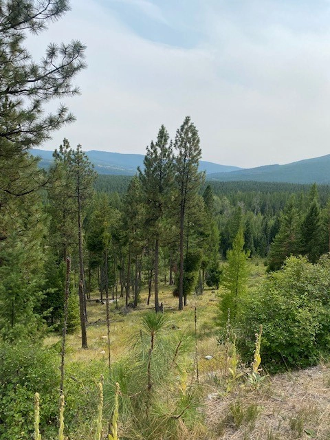 991 Haskill Mountain Rnch Rd  