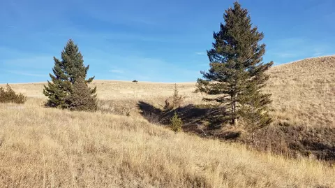 180 Lariat Loop, Garrison, MT 59731 photo 1