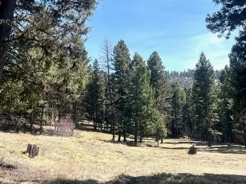990 Elkhorn Rd, Seeley Lake, MT 59868