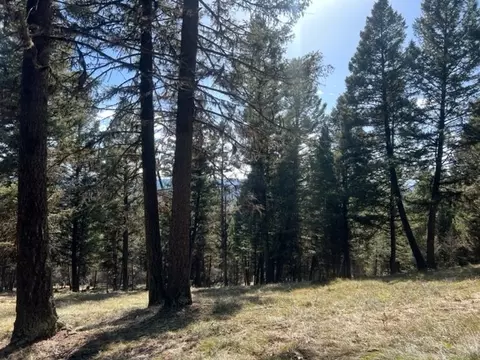 240 Wolverine Dr, Seeley Lake, MT 59868