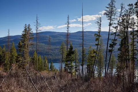 Nhn Swan Lake Overlook, Bigfork, MT 59911