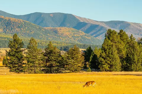 739 Paradise Loop #LOT 10, Eureka, MT 59917