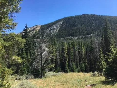 216 Trapper Creek Rd, Dillon, MT 59725