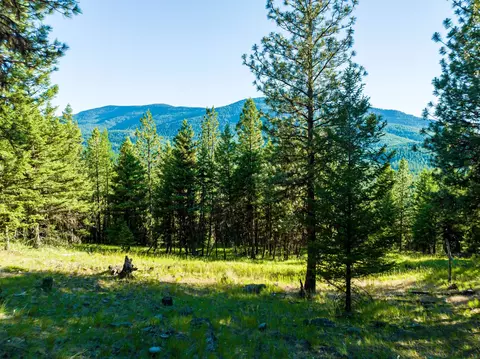 467 Wolf Creek Rd, Libby, MT 59923 photo 24