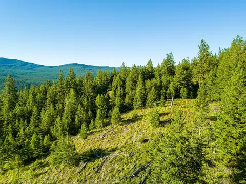 467 Wolf Creek Rd, Libby, MT 59923 photo 15