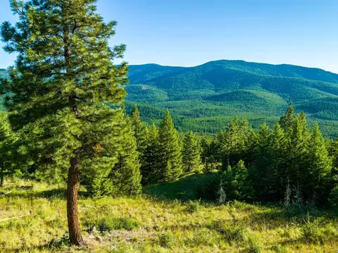 467 Wolf Creek Rd, Libby, MT 59923 photo 3