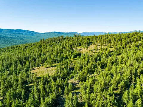 467 Wolf Creek Rd, Libby, MT 59923 photo 14