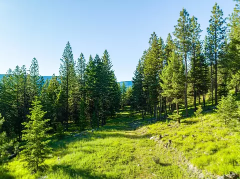467 Wolf Creek Rd, Libby, MT 59923 photo 21