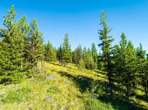 467 Wolf Creek Rd, Libby, MT 59923 photo 12