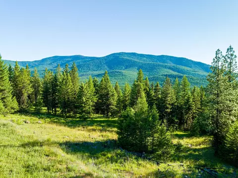 467 Wolf Creek Rd, Libby, MT 59923 photo 18