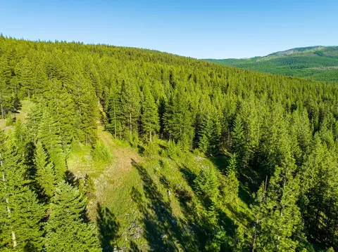 467 Wolf Creek Rd, Libby, MT 59923 photo 22