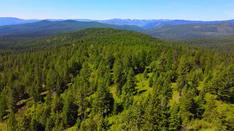 Nhn Corona Rd Ranch, Plains, MT 59859