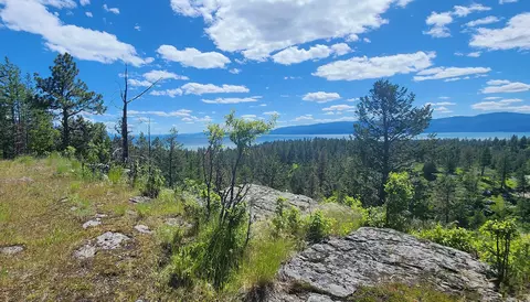 486 Hogue Dr, Bigfork, MT 59911 photo 5