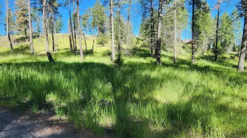 486 Hogue Dr, Bigfork, MT 59911 photo 7