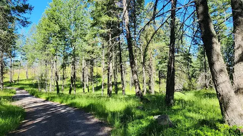 486 Hogue Dr, Bigfork, MT 59911 photo 6
