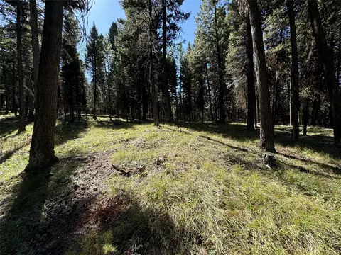 643 589 Stagecoach Dr, Seeley Lake, MT 59868