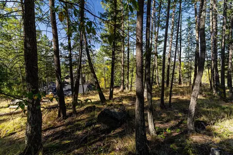 266 Eagle Bend Dr, Bigfork, MT 59911 photo 10