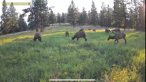 2434 Morning Dun Road - Lot 2 Rd, Missoula, MT 59804