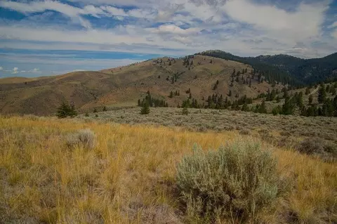 lot2 Sapphire Ridge Rnch, Florence, MT 59833