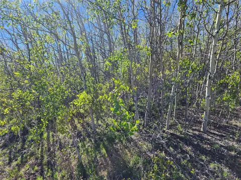 Nhn Alpha Lode & Alpha Fraction Lode, Anaconda, MT 59711