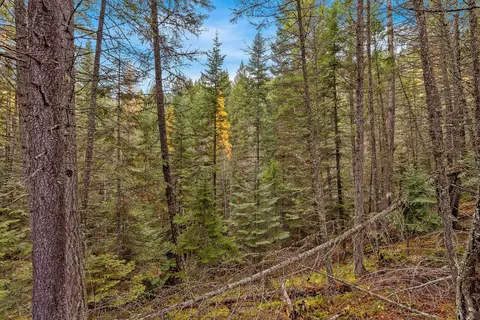 199 E Many Lakes Dr, Kalispell, MT 59901 photo 6