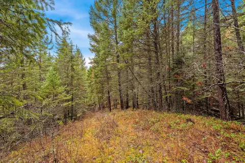 199 E Many Lakes Dr, Kalispell, MT 59901 photo 5