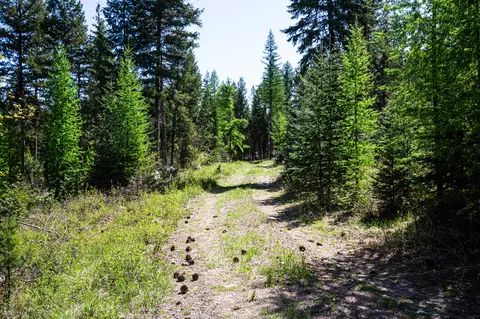 Nhn Open Sky Way, Kila, MT 59920