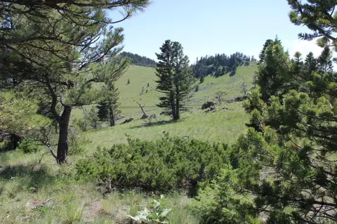 tbd Black Canyon Ln, Cascade, MT 59421