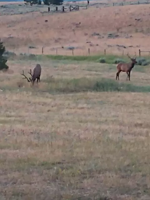 Other - 3358 Strandskov Rd, Lincoln, MT 59639 photo 16 of 28