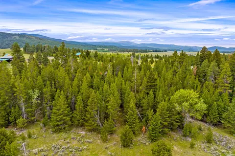 View/Area - 3358 Strandskov Rd, Lincoln, MT 59639 photo 4 of 11