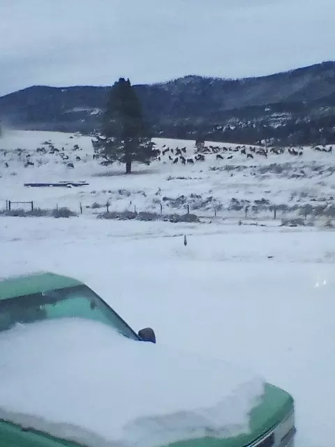 Other - 3358 Strandskov Rd, Lincoln, MT 59639 photo 17 of 28
