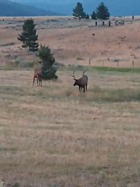 Other - 3358 Strandskov Rd, Lincoln, MT 59639 photo 15 of 28