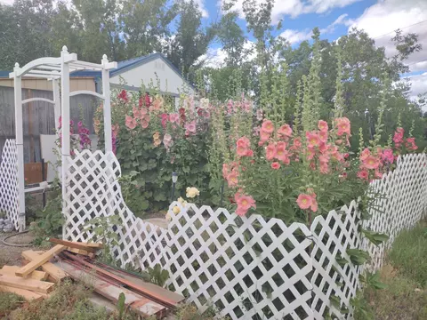 Exterior - 11 Central Ave N, Dutton, MT 59433 photo 18 of 18