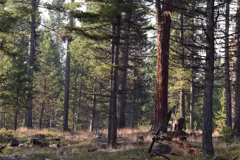 Nhn Hwy 2, Marion, MT 59925